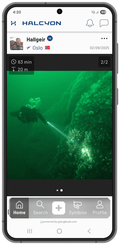 Halcyon app feed screenshot